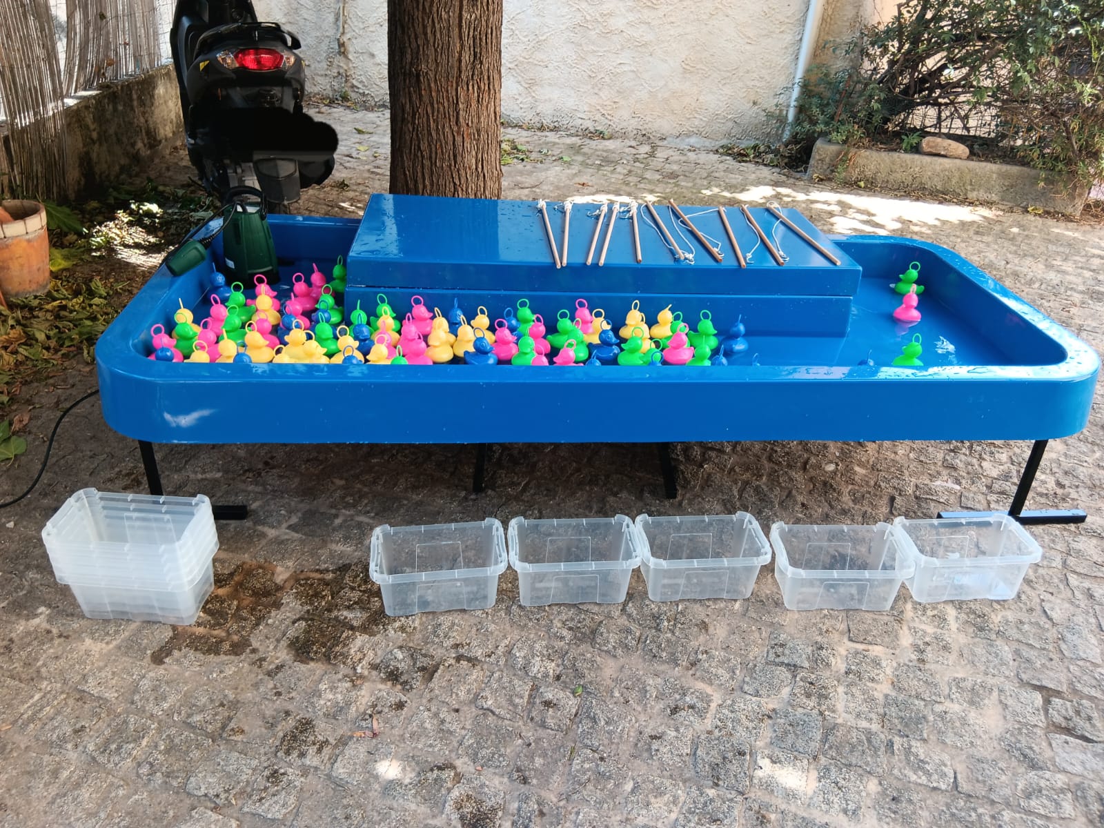 Pêche aux Canards