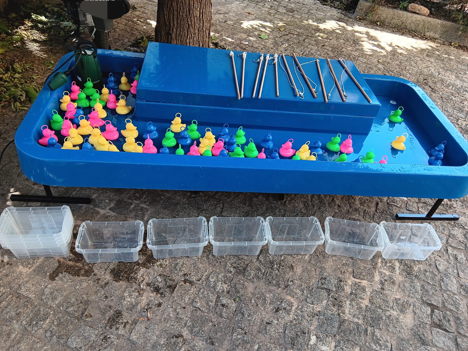 Canard3