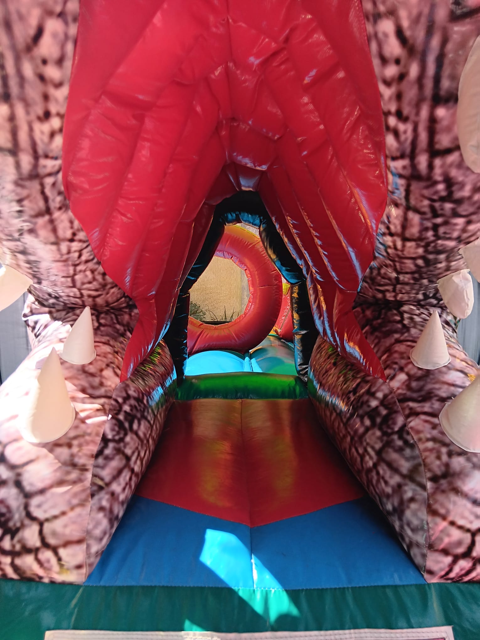 DINO T-REX Image 1